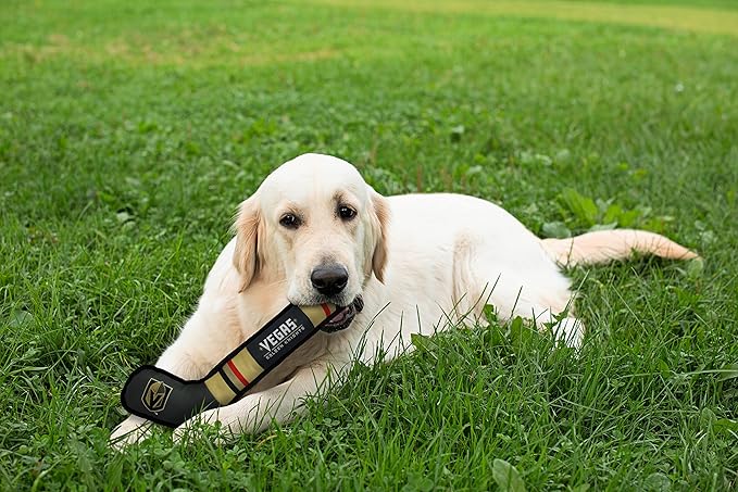 Pets First NHL LAS Vegas Golden Knights Stick Toy for Dogs & Cats. Play Hockey with Your Pet with This Licensed Dog Tough Toy Reward! , 16 inches long