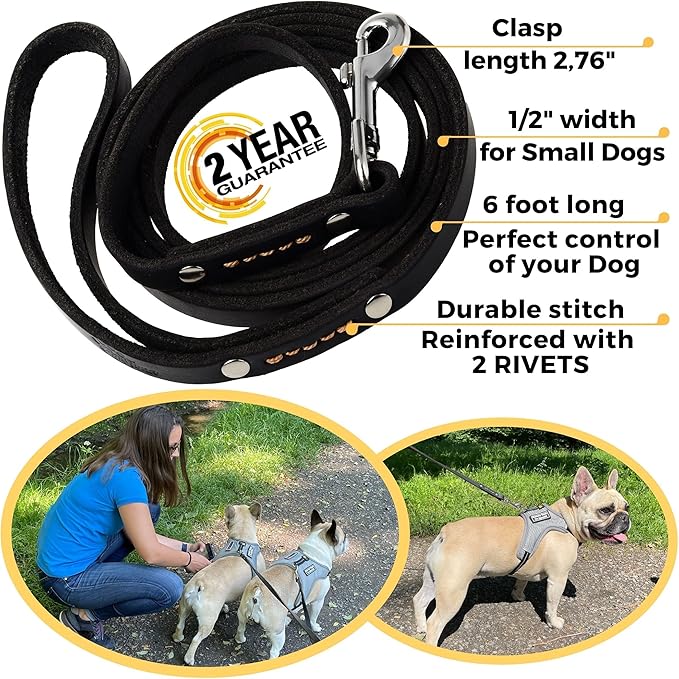 ADITYNA - Premium Leather Dog Leash - 6 ft, Heavy-Duty, Soft & Strong for Small/Medium Dogs (Small: 6 ft x 1/2", Black)