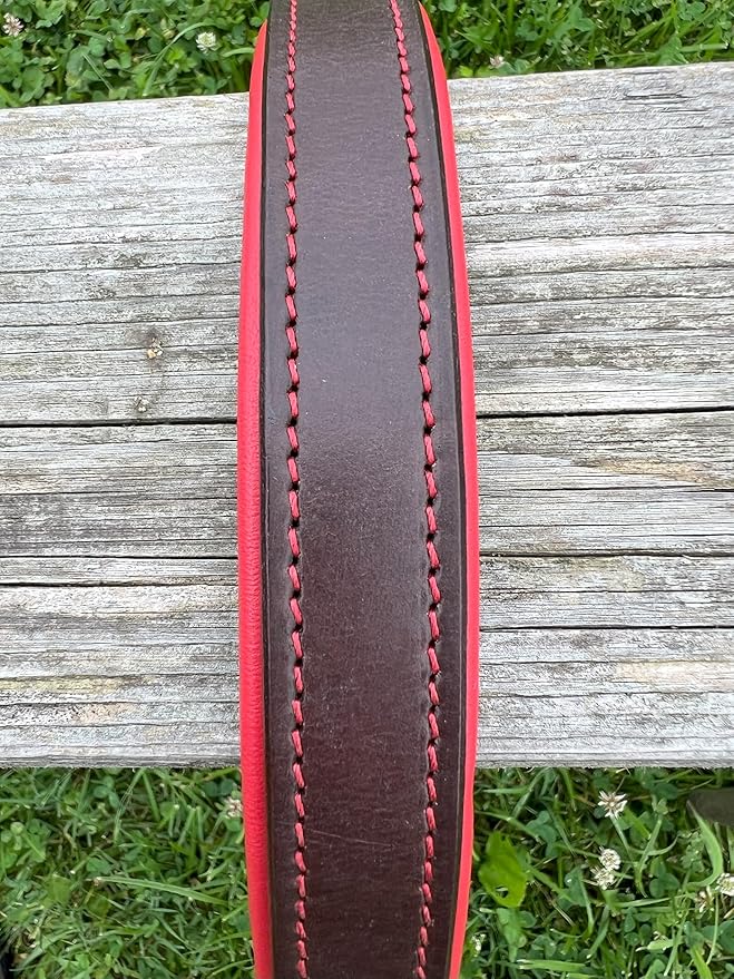 Leaders Leather Dog Collar with Customized Name Plate (Red/Brown Medium/Large (15"-19"))