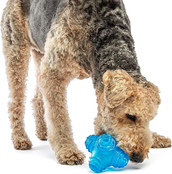 GURU Pet: Puzzle Jack - Medium - 5.5" Blue Dog Toy, Interactive Treat Dispensing, Slow Feeding, Easy Loading, Durable Chew, Tumble-Bounce-Solve-Play