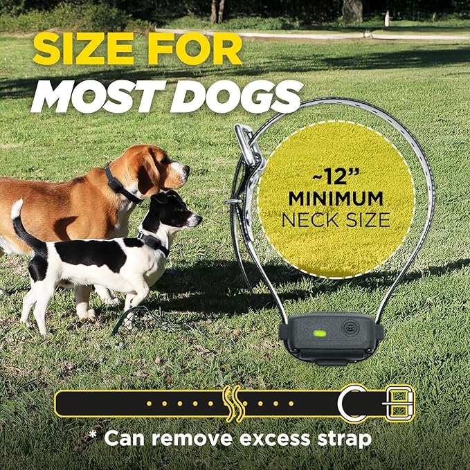 Dogtra iQ Vibe Vibration Only No Bark Collar: 4X Stronger HPP Vibration, IPX9K Waterproof, Precision Sensor, Rechargeable