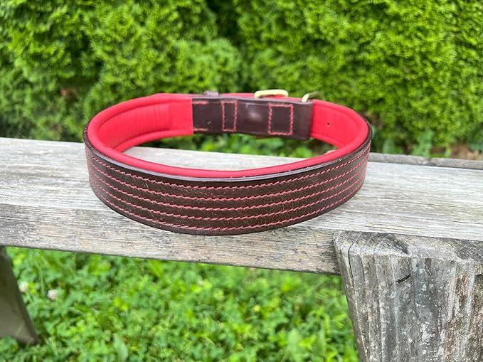 Leaders Leather Dog Collar with Customized Name Plate (Red/Brown Extra Large (21"-26"))