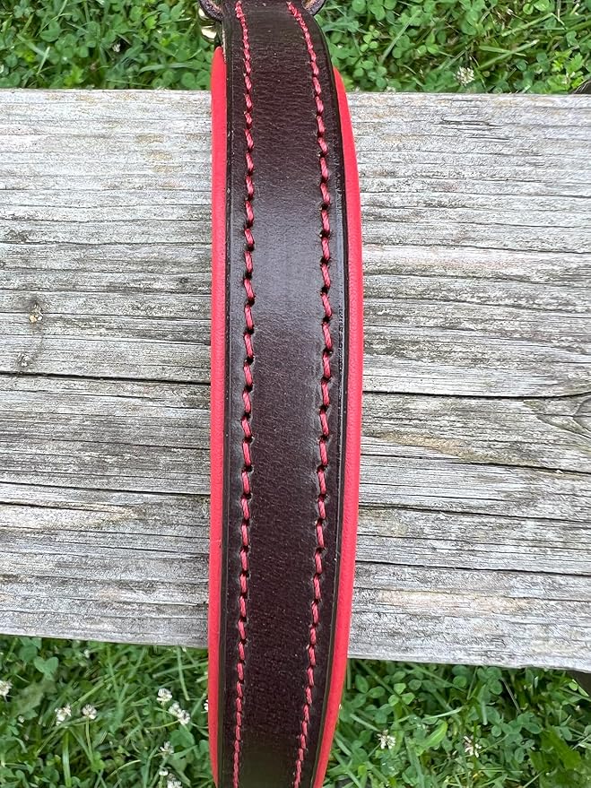 Leaders Leather Dog Collar with Customized Name Plate (Red/Brown Small (9"-12"))