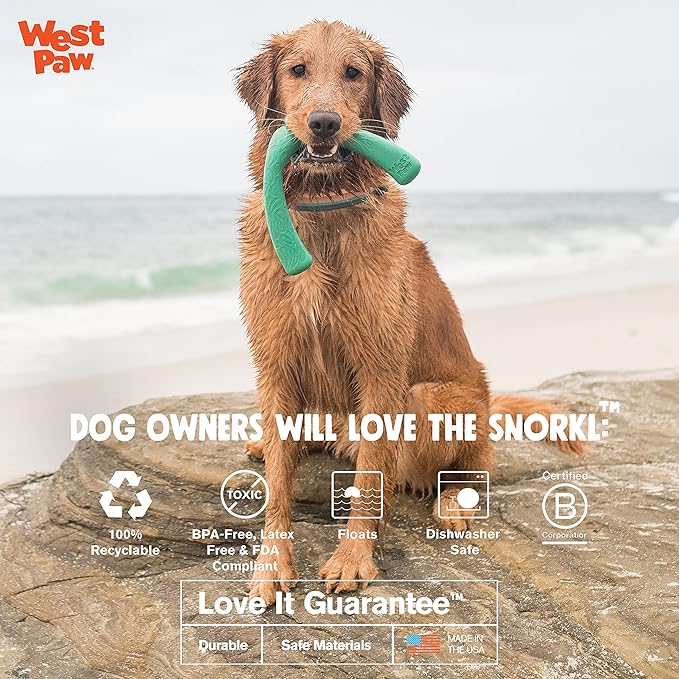 WEST PAW Seaflex Snorkl Dog Tug Chew Toy for Moderate Chewers, Made in USA, 8.25" Large, Green