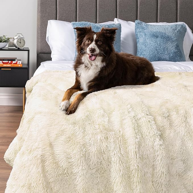PetAmi Waterproof Dog Blanket for Large Dog, Calming Pet Blanket Bed Couch Cover Protector, Washable Sherpa Faux Fur Throw for Sofa Furniture Protection, Soft Fluffy 60x80 Cream Beige