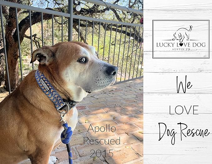 Lucky Love Dog Wide Martingale Dog Collar - No-Slip, Durable, & Soft Webbing 1.5 inch Martingale Collar for Dogs Male and Female Ideal for Training & Walking - Murphy, Large