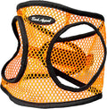 Bark Appeal Orange Netted Step-in Dog Harness for Small to Medium Sized Pets – Updated Sizing, Remeasuring is Essential – Soft Netted Mesh – Anti-Choke with Adjustable Strap & Heavy Duty Clip – M