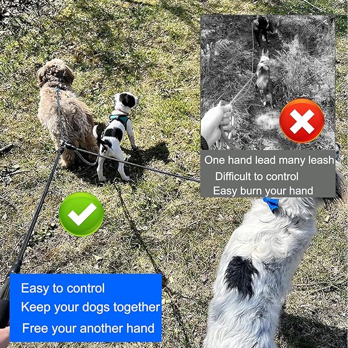 Heavy Duty 3 Dog Leash for Small Dogs No Tangle Detachable 360° Swivel Device with Padded Handle for Two/Three Pets