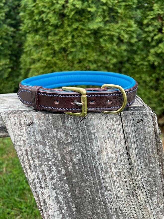 Leaders Leather Dog Collar with Customized Name Plate (Royal Blue/Brown Large (18"-22"))