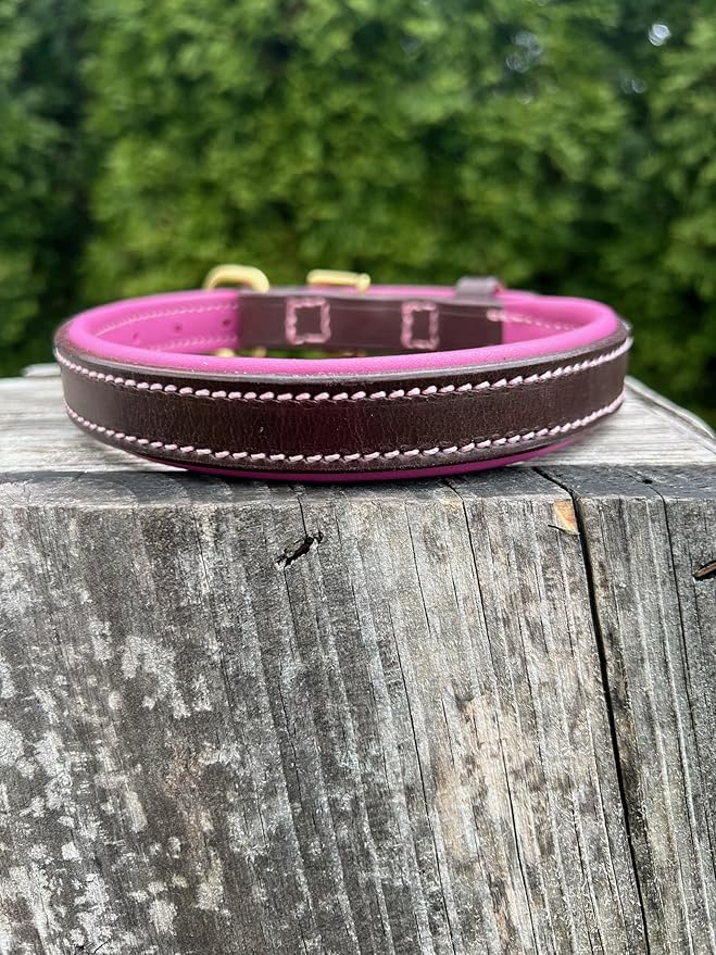 Leaders Leather Dog Collar with Customized Name Plate (Pink/Brown Medium (12"-15"))