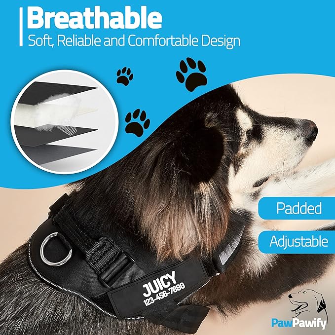 PawPawify Personalized No Pull Dog Harness with 2 Custom Name & Phone Patches, Reflective Breathable Pet Vest for Walking Training, Adjustable Heavy Duty Service Dog Vest for Small Medium Large Dogs