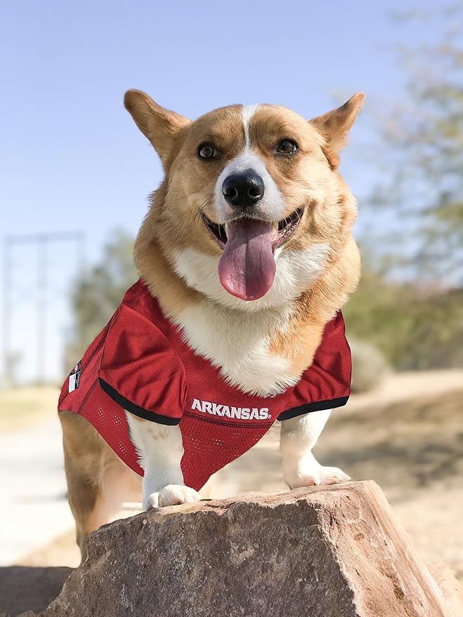 Pets First NCAA College Arkansas Razorbacks Mesh Jersey for DOGS & CATS, Large. Licensed Dog Jersey with your Favorite Football/Basketball College Team
