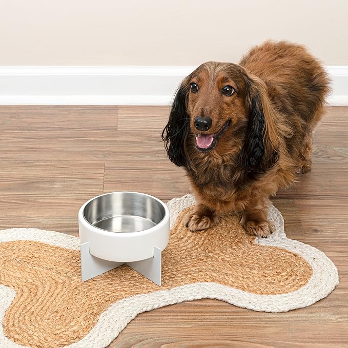 DBL3000B Intersecta Small/Medium Concrete and Stainless Steel Bowl 16oz (2 Cups) with Metal Stand Pet Feeder, White