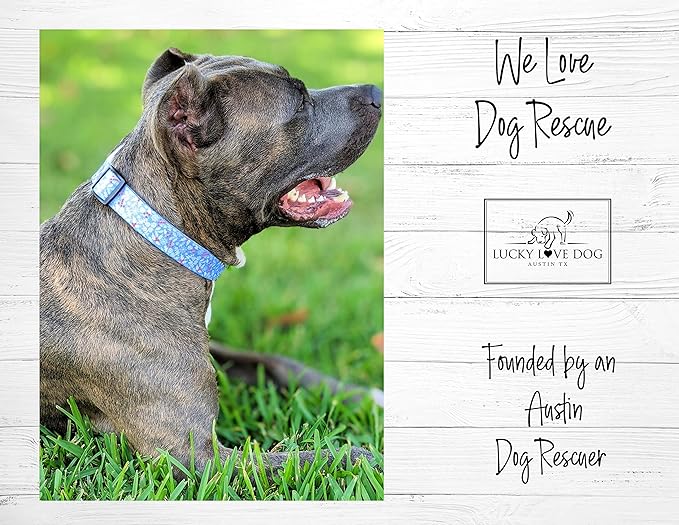 Lucky Love Dog Wide Dog Collar - Adjustable, Durable, Soft Webbing, & Comfortable 1.5 inch Wide Collar for Dogs Male and Female with Strong Buckle - Winter Blue, XL
