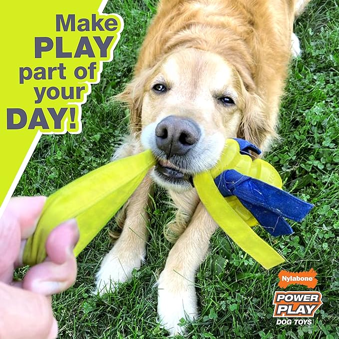 Nylabone Power Play Shake-a-Toss Interactive Play Toy, Fetch Toy for Dogs, Small (1 Count)