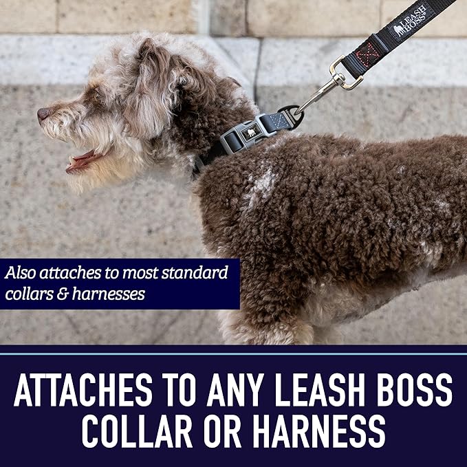Leash Boss 15 Foot Dog Leash with Padded Handle - Long Leash for Hiking, Camping, Exploring, or Walking (15 Feet, Orange)