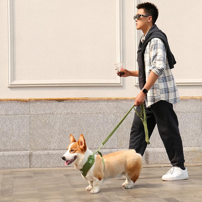 5 FT Stylish Dog Leash, Soft Dog Leashes with Comfortable Padded Handle, Metal Carabiner Clip, Strong No Pull Pet Leash for Small Medium Dogs for Walking, Shopping and Running