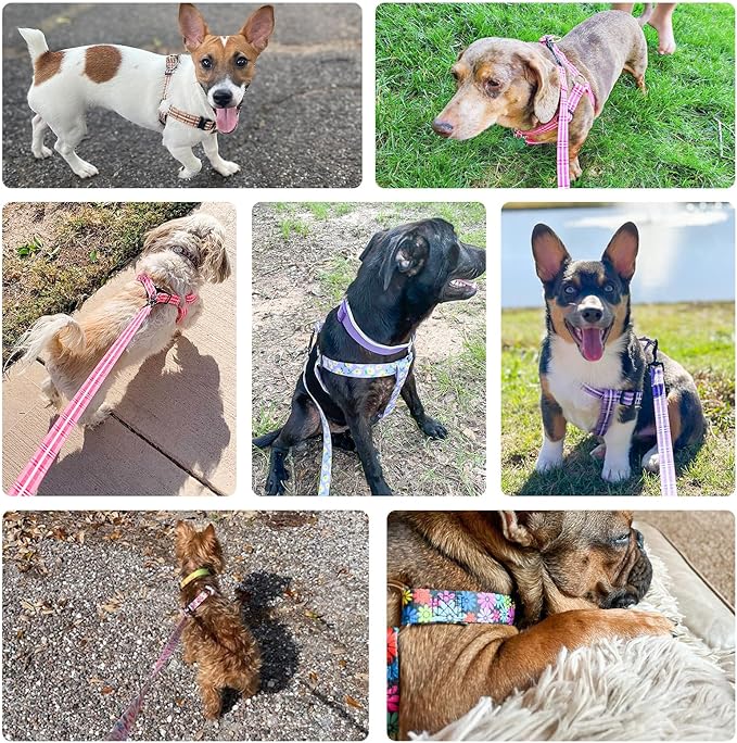 BEAUTYZOO No Pull Dog Harness and Leash Set - Adjustable Step-in Puppy Harness for Small Medium Large Dogs, Escape Proof Soft Nylon Vest with Double D Ring for Walking Running Training, Pink S