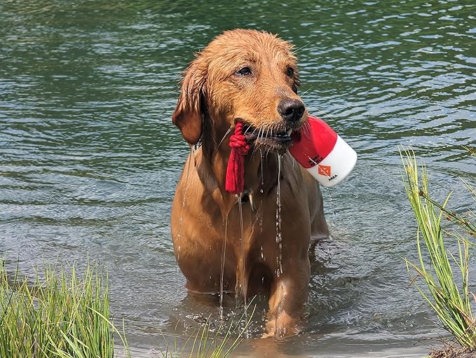 Bark Brite The Chewy Buoy Water Dog Toy