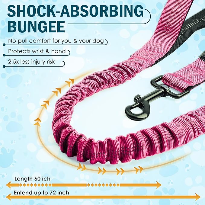 Hands Free Dog Leash with Waist Belt – No-Pull Bungee, Dual Padded Handles & Zipper Pouch for Running, Walking & Training – Adjustable Waist Leash for Large & Medium Dogs