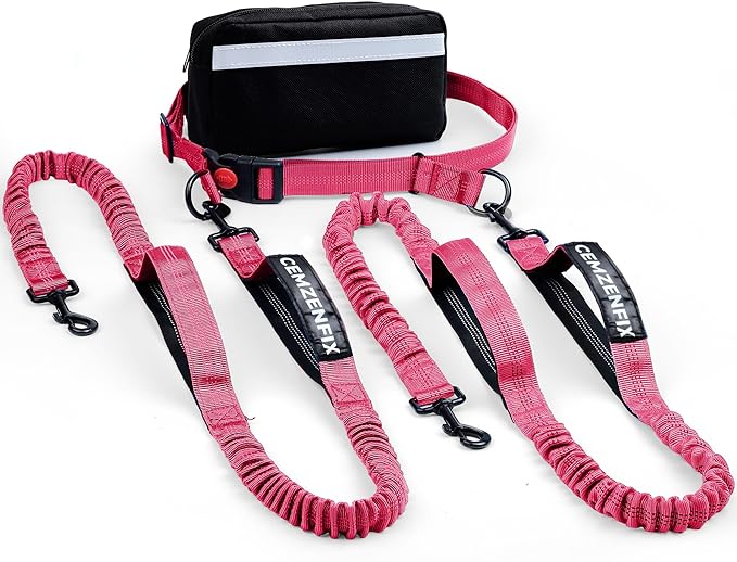 Hands Free Dog Leash for 2 Dogs – Waist Leash for Dog Walking with Dual Bungee, Reflective No Pull Design, Adjustable Belt & Pouch for Running, Hiking, Jogging