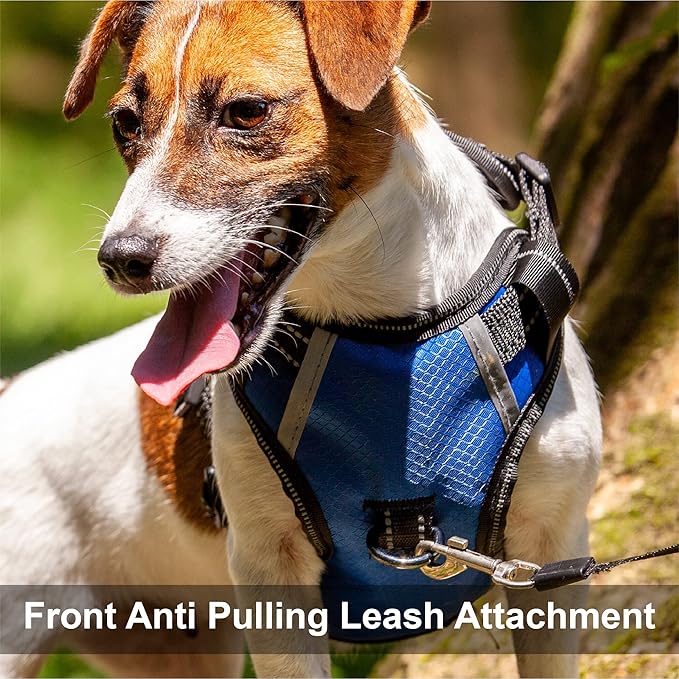 No Pull Dog Harness, Reflective Walking Dog Harness with Easy Control Handle and Front & Back Clips,Adjustable Breathable Soft Padded Dog Vest Harness for Large Medium Small Dogs,Blue,L