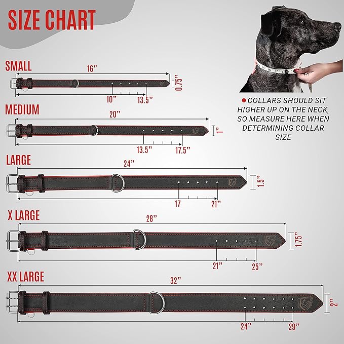 Riparo Adjustable Leather Dog Collar - Heavy Duty Wide Dog Collar for Small, Medium, Large and Extra Large Dogs with Dog Tag Holder (L: 1.5" Wide for 17"-21" Neck, Black/Red Thread)