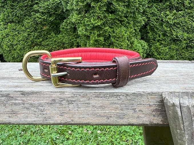 Leaders Leather Dog Collar with Customized Name Plate (Red/Brown Small (9"-12"))
