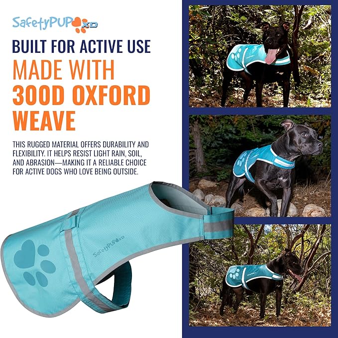 SafetyPUP XD Dog Reflective Vest – Hi-Vis Fluorescent Visibility That Helps to Safeguard Your Pet On/Off Leash in Urban & Rural Areas (Teal, Large)
