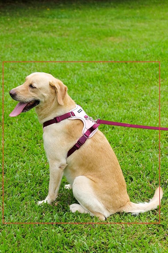 No Pull Dog Harness Leash and Collar Set, Soft Adjustable Dogs Vest Reflective and Comfortable Handle Pink Large