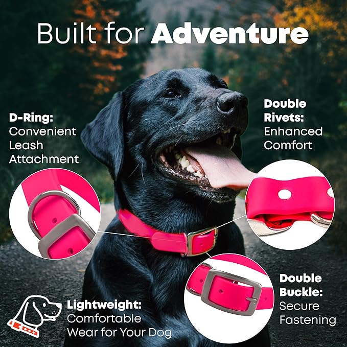 Regal Dog Products Large Pink Waterproof Dog Collars with Custom Engraved Name Plate | Vinyl Coated, Anti, Easy to Clean Personalized Biothane Dog Collar - Other Sizes for Small & Medium Dogs