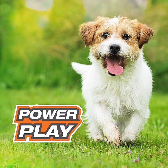 Nylabone Power Play Shake-a-Toss Interactive Play Toy, Fetch Toy for Dogs, Small (1 Count)