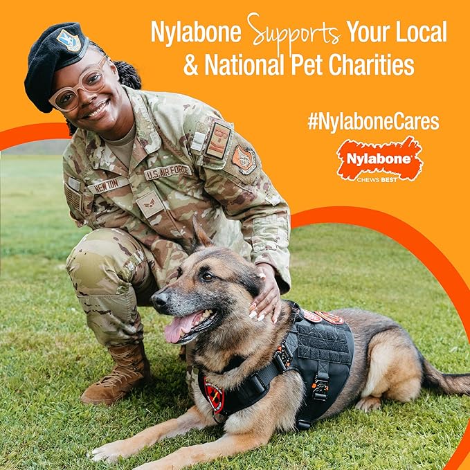 Nylabone Gourmet Style Femur & Wishbone Strong Chew Toy for Puppies, Puppy Teething Toy, Bacon & Peanut Butter Flavor, Small Dogs - Up to 25 Ibs, 2 Pack