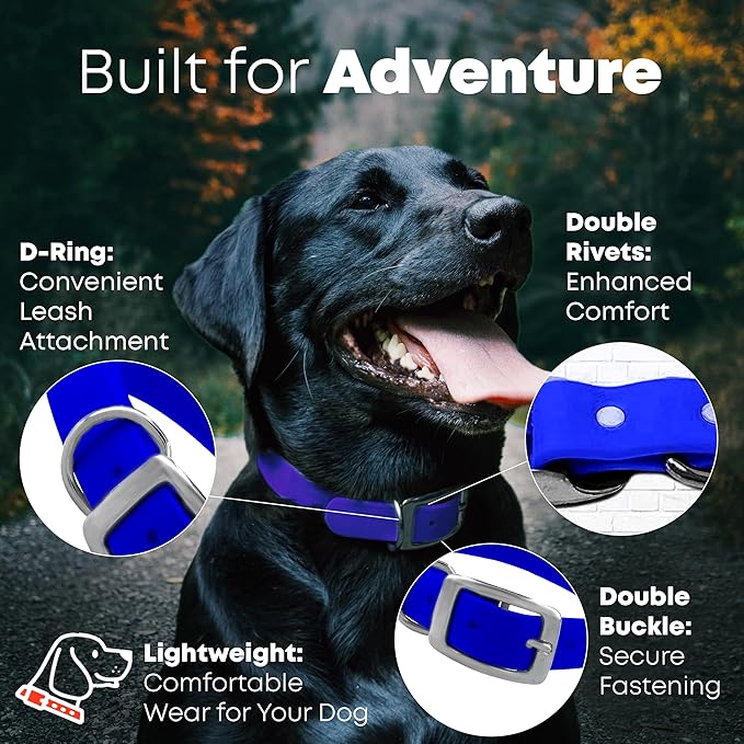 Regal Dog Products Small Blue with Custom Engraved Waterproof Dog Collar and Leash Set | Waterproof Dog Collar with Double Buckle & D Ring - 5'ft Leash | Matching Dog Collar and Leash for Dogs