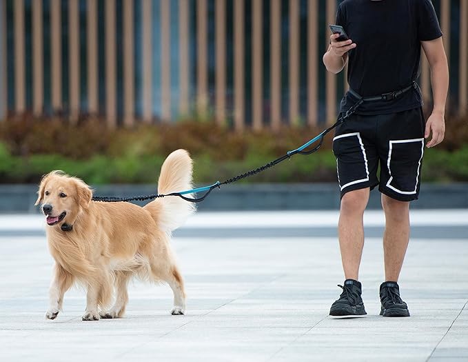 iYoShop Hands Free Dog Leash with Zipper Pouch, Dual Padded Handles and Durable Bungee for Walking, Jogging and Running Your Dog (Large, 25-120 lbs, Royal Blue)