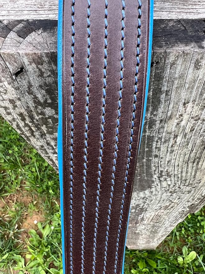Leaders Leather Dog Collar with Customized Name Plate (Royal Blue/Brown Extra Large (21"-26"))
