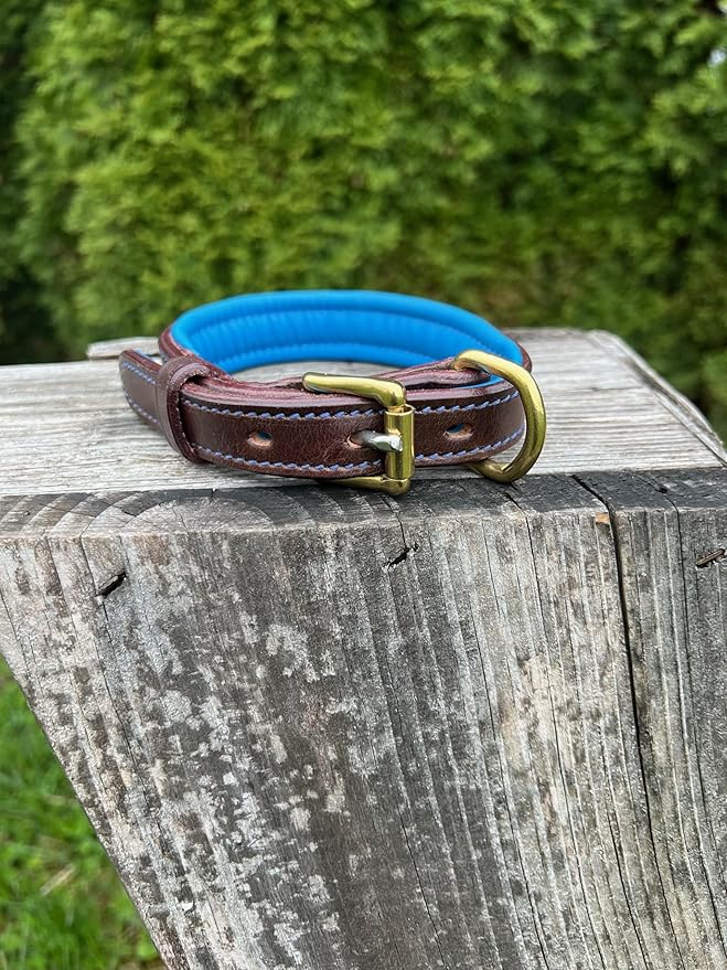 Leaders Leather Dog Collar with Customized Name Plate (Royal Blue/Brown Small (9"-12"))