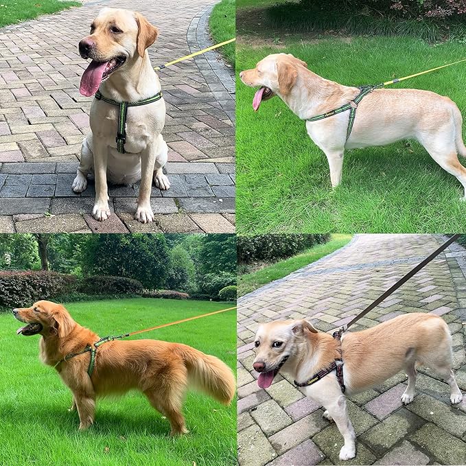No Pull Dog Harness with Reflective Adjustable,Stops Pets from Pulling and Choking On Walks for Medium/Large Dogs (Green, XL)