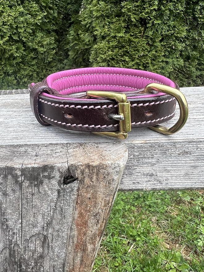 Leaders Leather Dog Collar with Customized Name Plate (Pink/Brown Small (9"-12"))