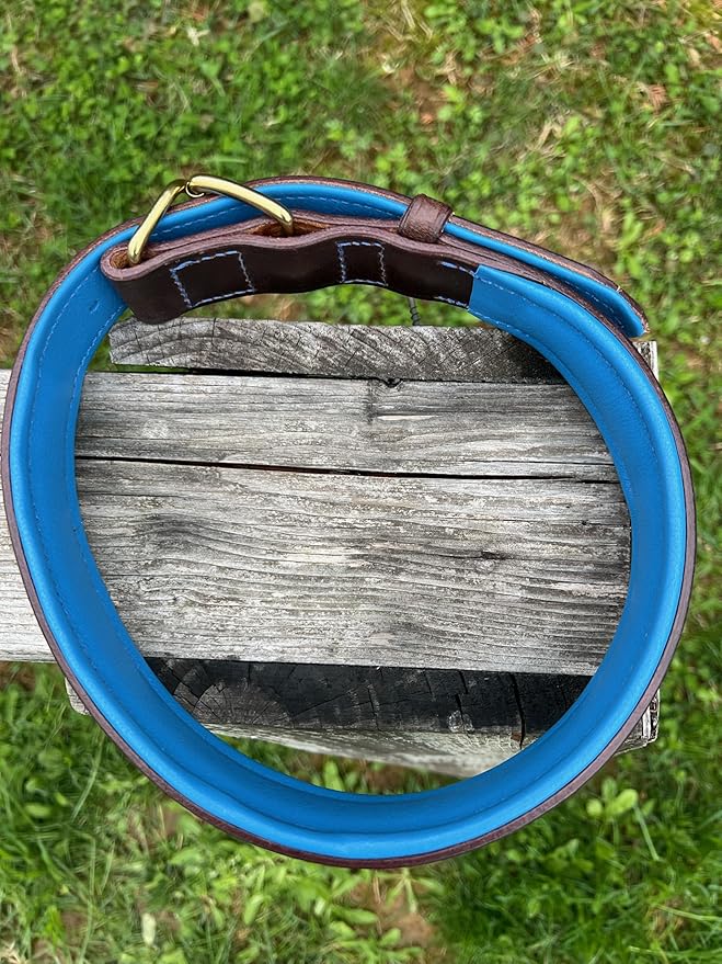 Leaders Leather Dog Collar with Customized Name Plate (Royal Blue/Brown Extra Large (21"-26"))
