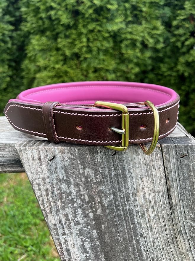 Leaders Leather Dog Collar with Customized Name Plate (Pink/Brown Extra Large (21"-26"))