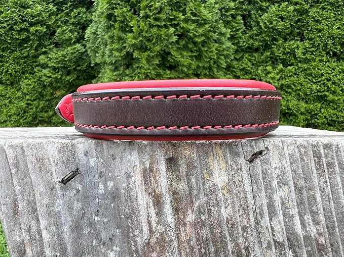Leaders Leather Dog Collar with Customized Name Plate (Red/Brown Small (9"-12"))