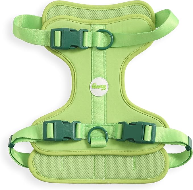 HNS1003B Arlo Large Adjustable Soft Padded No Pull Pet Harness with 3 Buckles and 3 Leash Clips, Mojito