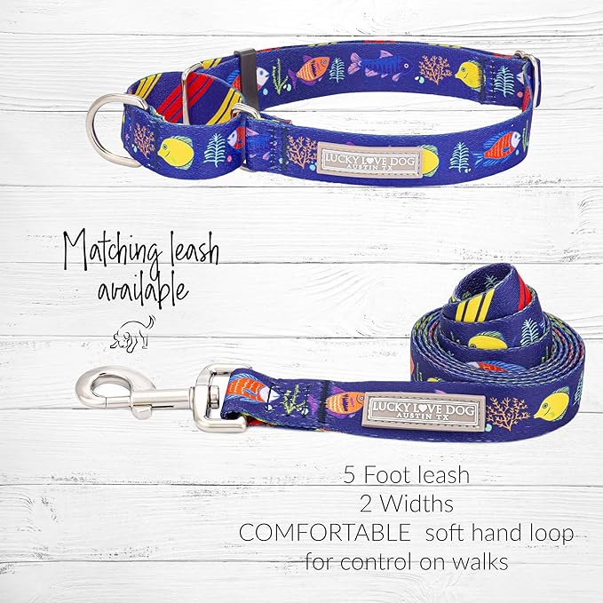 Lucky Love Dog Martingale Collar, Blue Color No Slip Collars for Medium Dogs, Tropical Fish Pattern Martingale Dog Collar, Great for Whippets, Greyhounds, and More (Mackey, Medium)