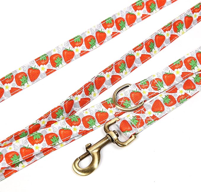 Organic Cotton Dog Leash for Small,Medium and Large Breed,Brass Hardware Pet Leash for Walking,Running and Training 6FT