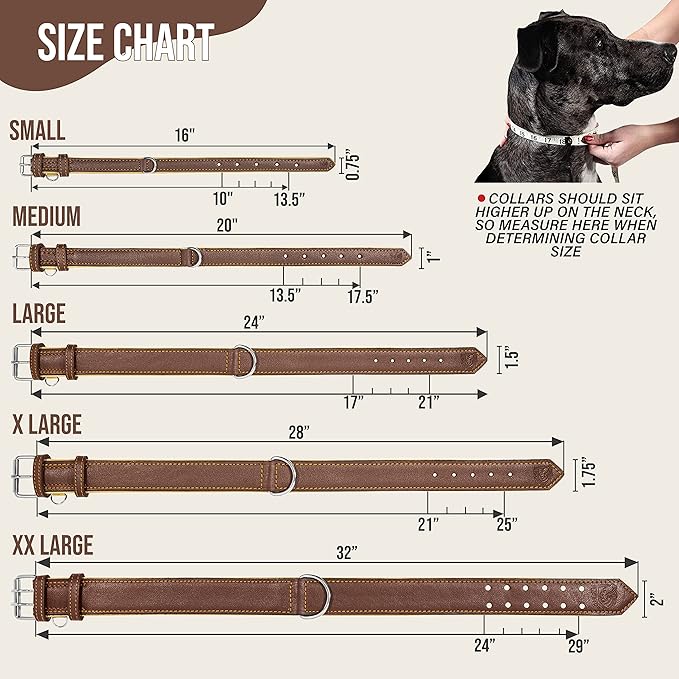 Riparo Dog Collars for Medium Dogs, Genuine Leather Dog Collar, Medium Dog Collar (M: 1" Wide for 13.5”-17.5” Neck, Brown)