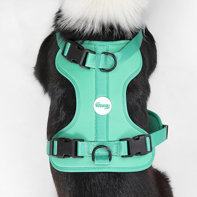 HNS1003K Arlo Large Adjustable Soft Padded No Pull Pet Harness with 3 Buckles and 3 Leash Clips, Julep