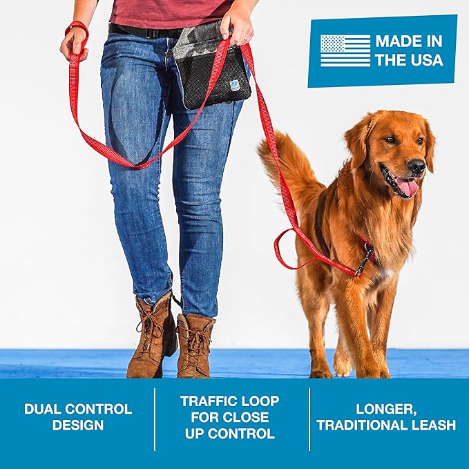 Blue-9 Reflective Dog Leash, Multi-Function 6 Foot Adjustable Lead with Traffic Loop and 3M Reflective Stitching for Obedience, Running, and Agility Training, Made in The USA, Small/Medium, Red