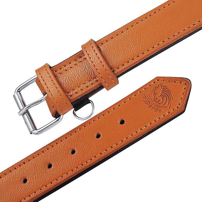 Riparo Orange Leather Dog Collar - Heavy Duty Wide Dog Collar for Small, Medium, Large and Extra Large Dogs with Dog Tag Holder (M: 1" Wide for 13.5”-17.5” Neck, Orange)