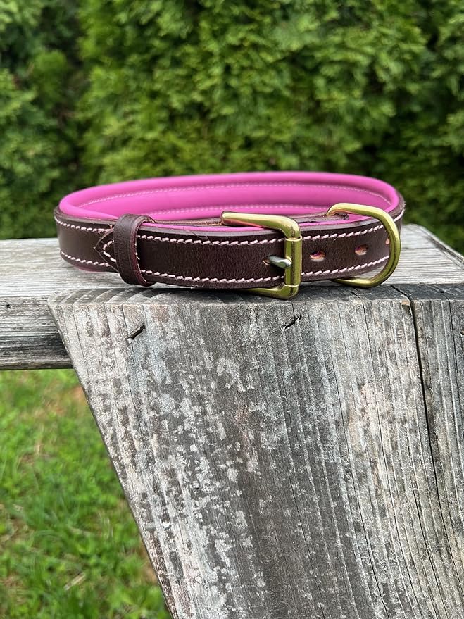 Leaders Leather Dog Collar with Customized Name Plate (Pink/Brown Large (18"-22"))